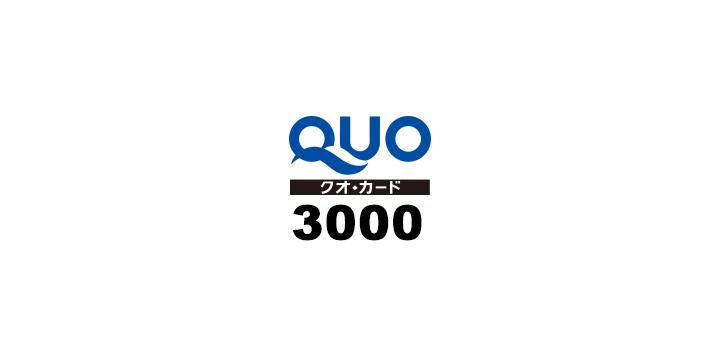 q3000